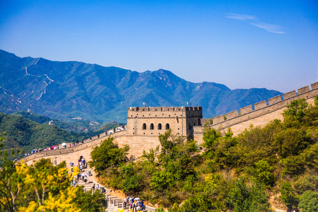 1649386221220.png 1.png