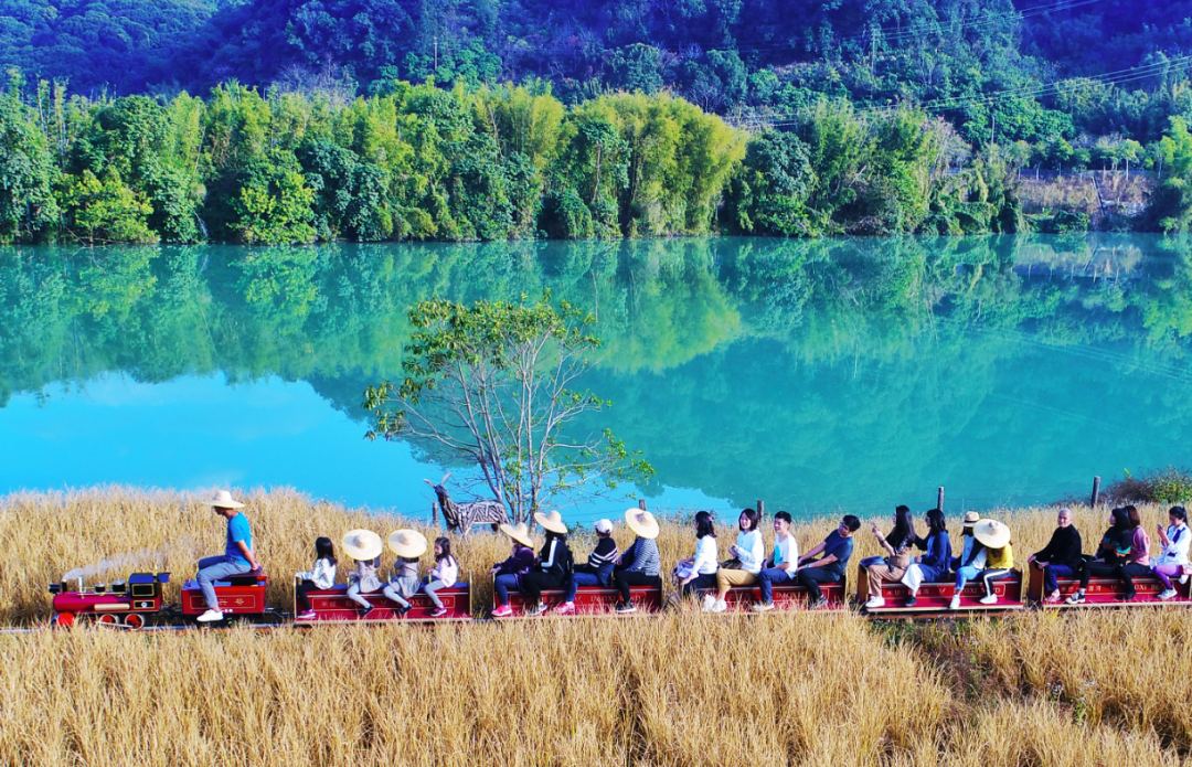 1656057048495.png 3.png